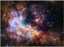 cosmos